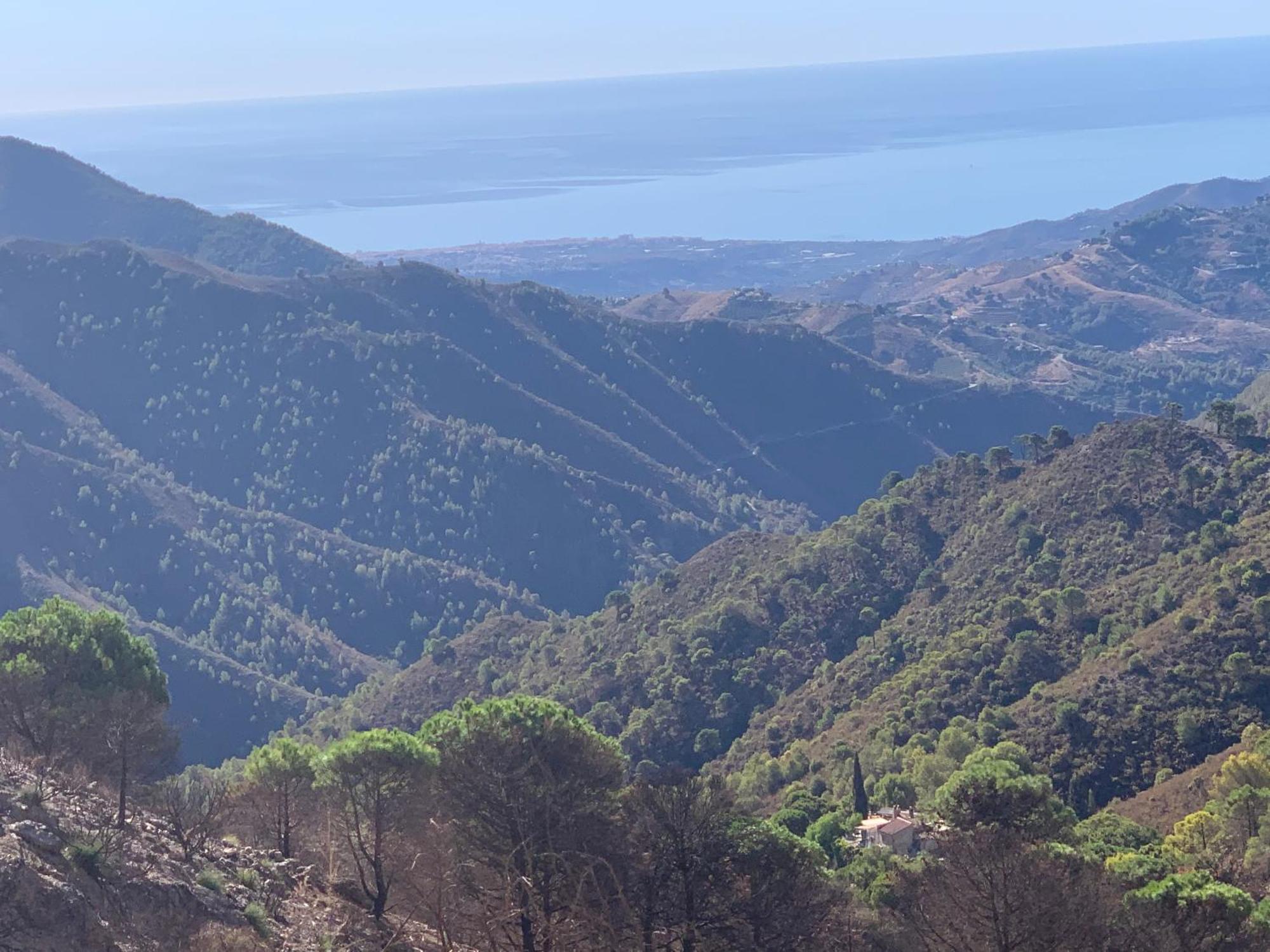 Finca El Almendro Малага Екстериор снимка