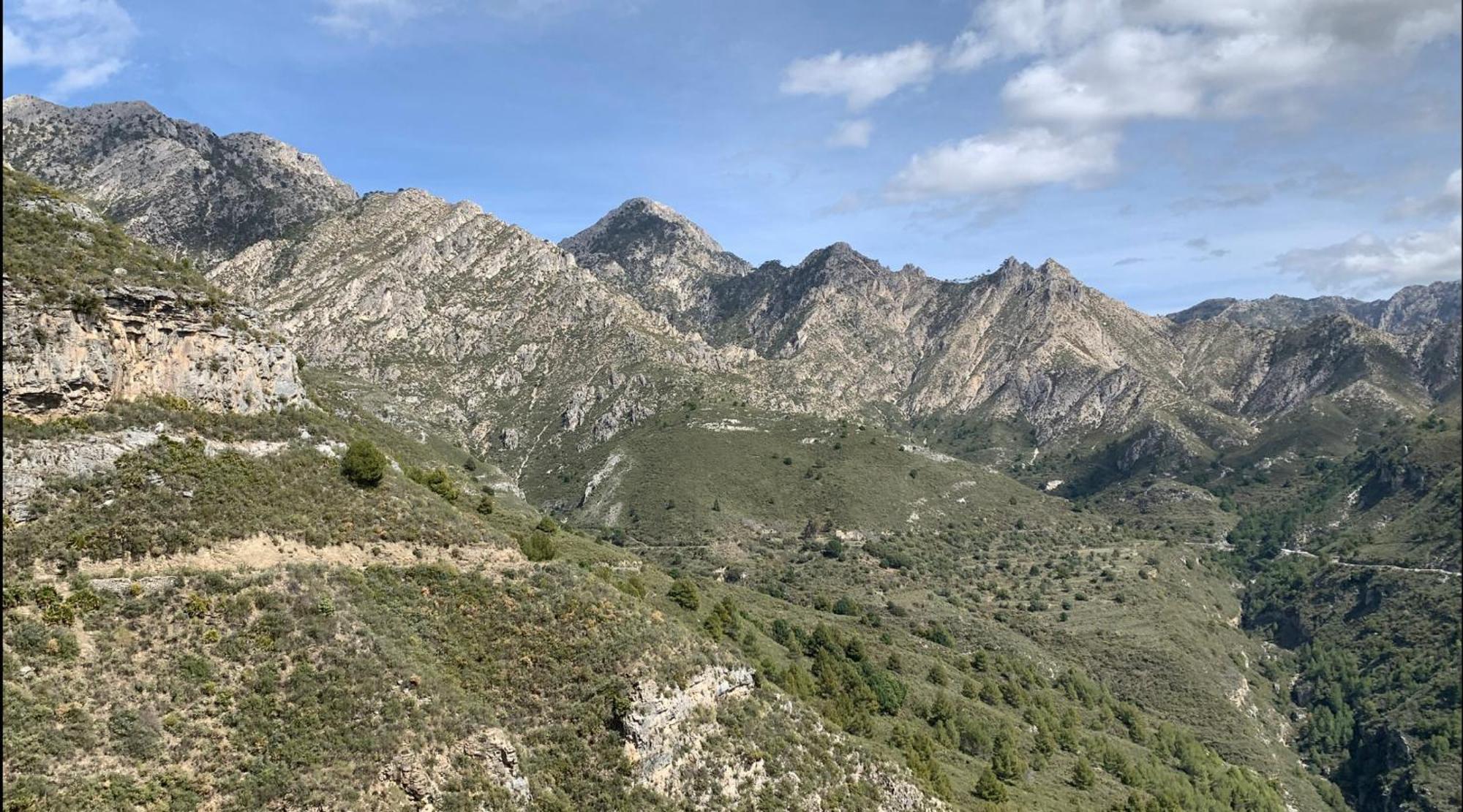 Finca El Almendro Малага Екстериор снимка